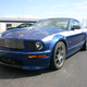 Illustration for article titled 2010 Shelby Mustang GT/SR